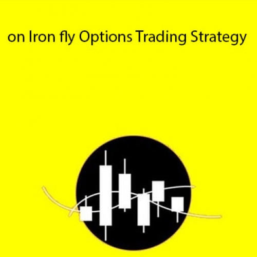 https://mail.learnapps.net/masterclass-on-iron-fly-options-trading-strategy